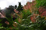 DSC_0862.JPG