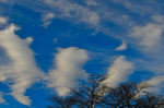 DSC_1344.JPG
