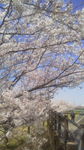 2014040511540000.jpg