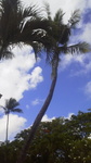 2014062509510000.jpg